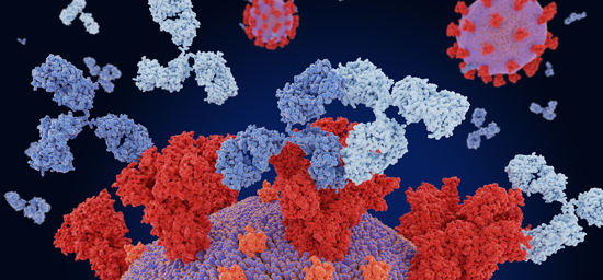 mRNA and spike proteins